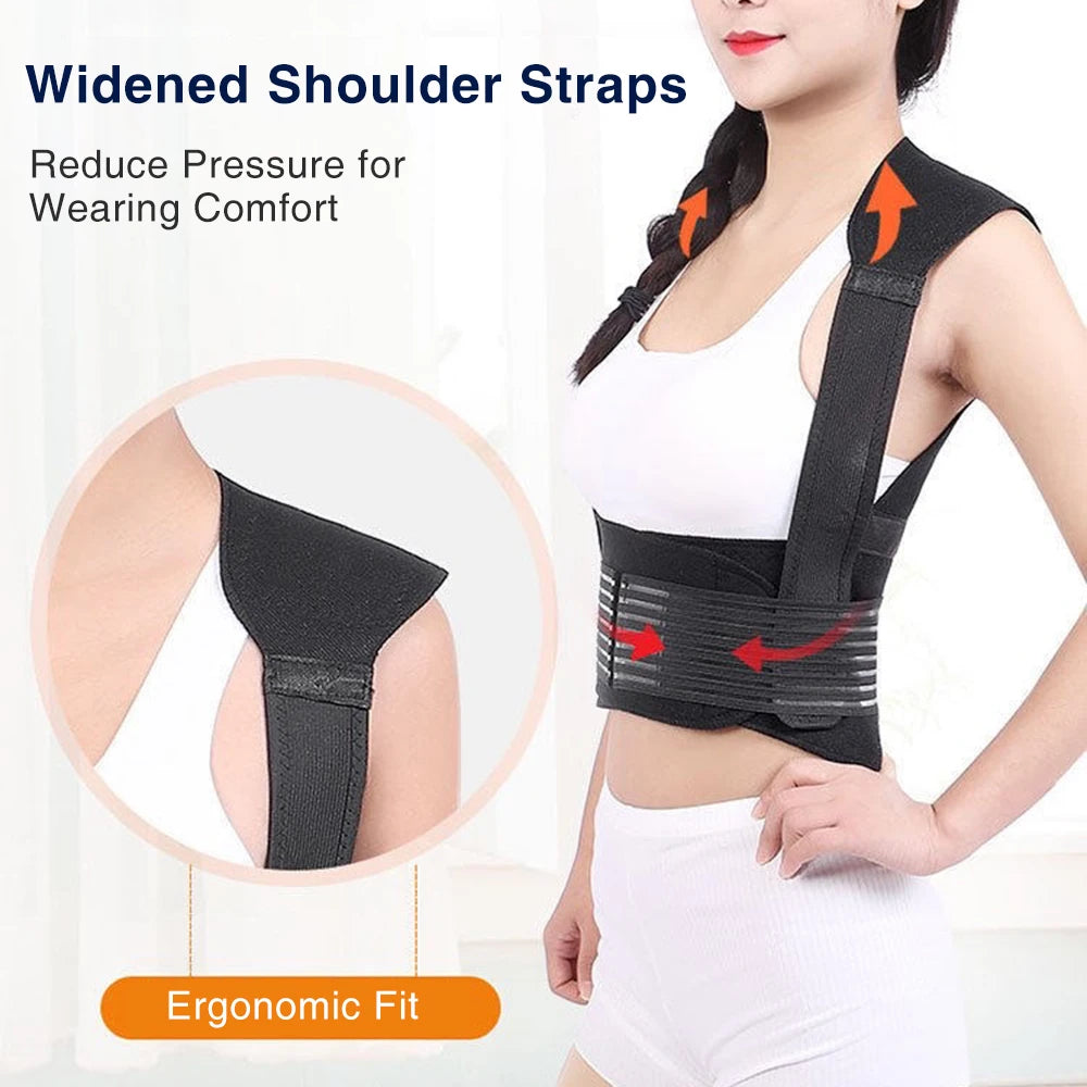 Eelhoe DearBeauty Self Heating Back Support Magnetic Therapy Waist Belt